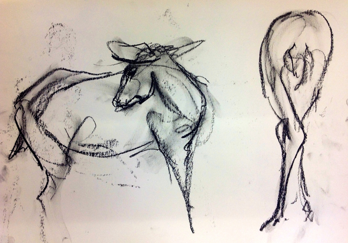 Drawings. Deer. 2014